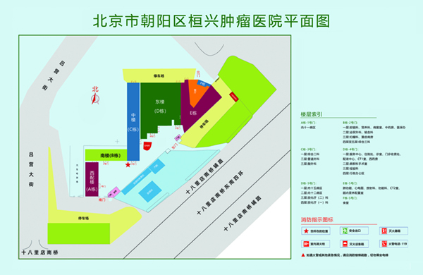 黄色操逼网站北京市朝阳区桓兴肿瘤医院平面图